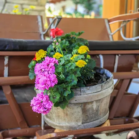 Hotel Garni Des Alpes